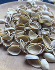Bamboo & Pistachio Nut Terrazzo
