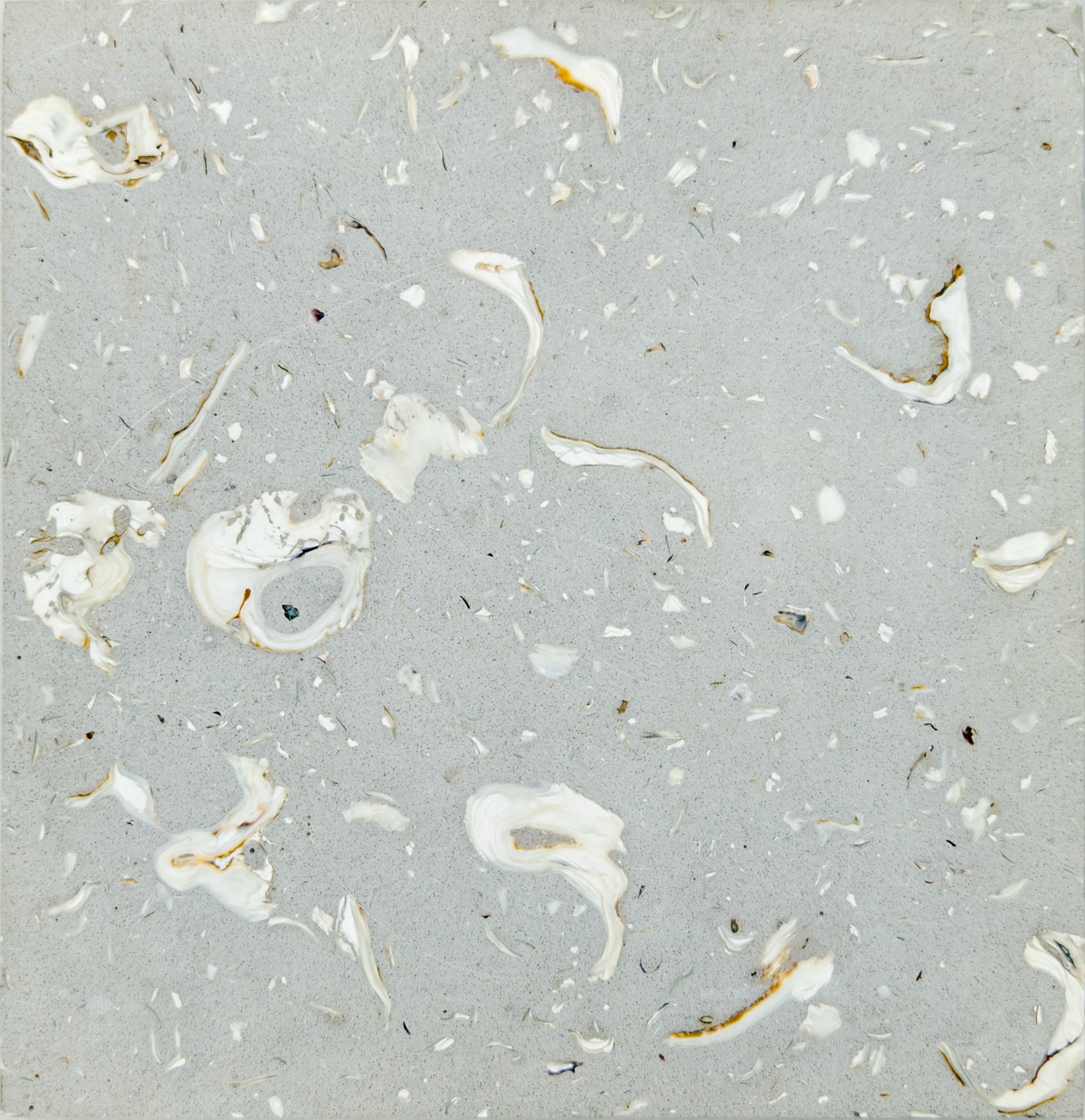 Oyster Shell Aggregate Flooring | Gray Base & Hand-Laid Restaurant ...